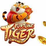 rico bet fortune tiger bet